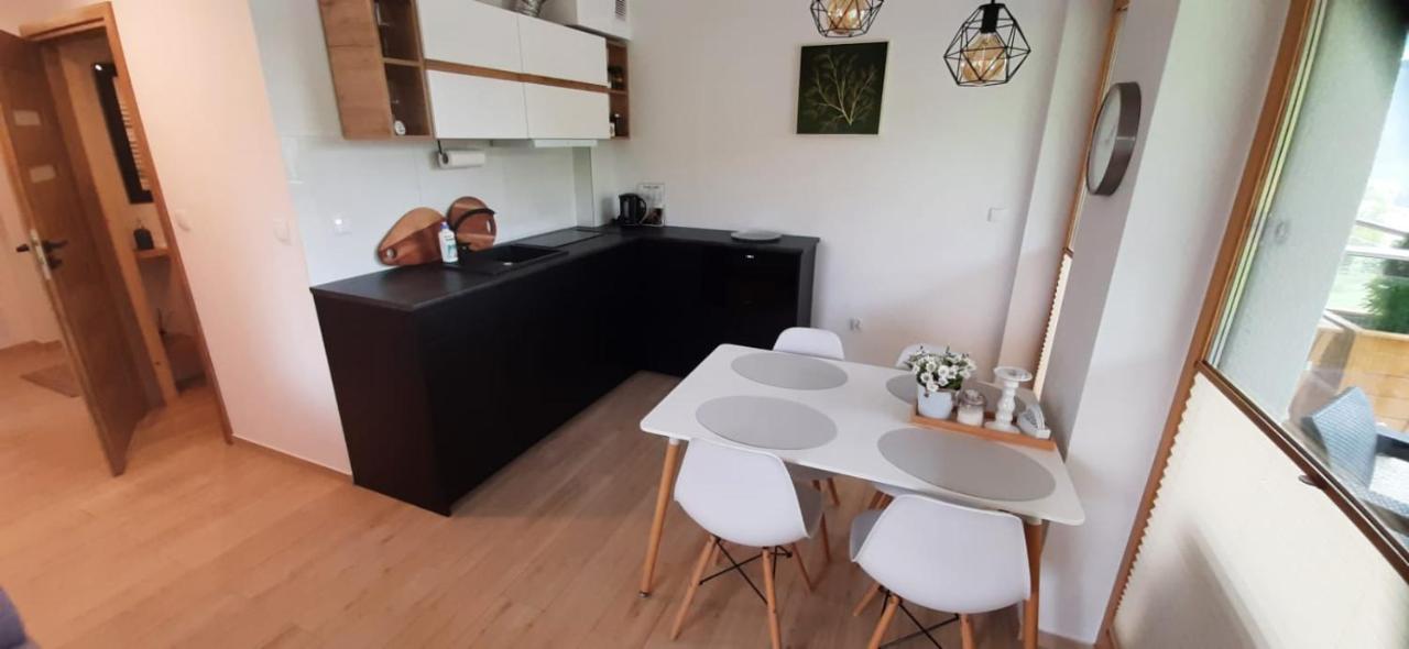 זקופאנה Apartamenty Bachledzki Wierch מראה חיצוני תמונה
